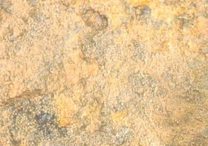 Pitted steel surface.jpg