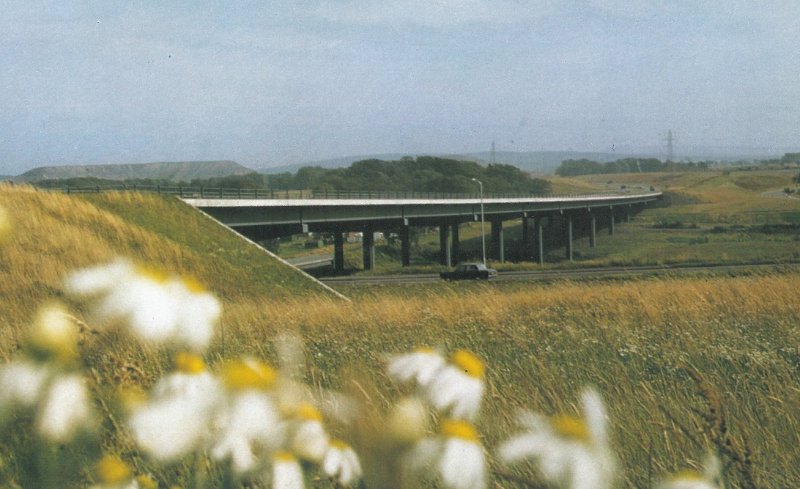 Almond Valley Bridge, Livingston, Midlothian