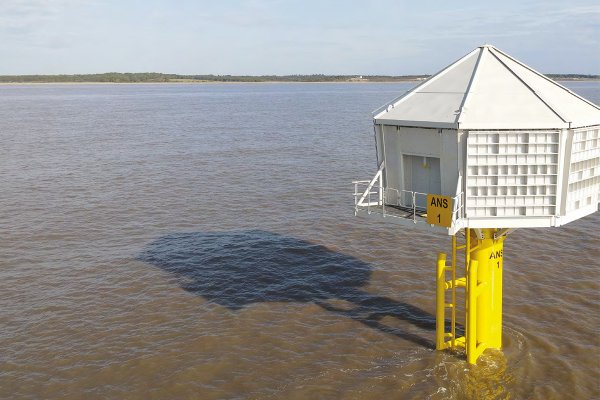 Artificial Nesting Structures